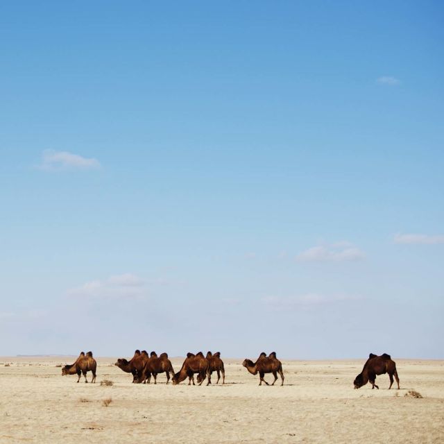 Дивата Монголия: Земя на крайности